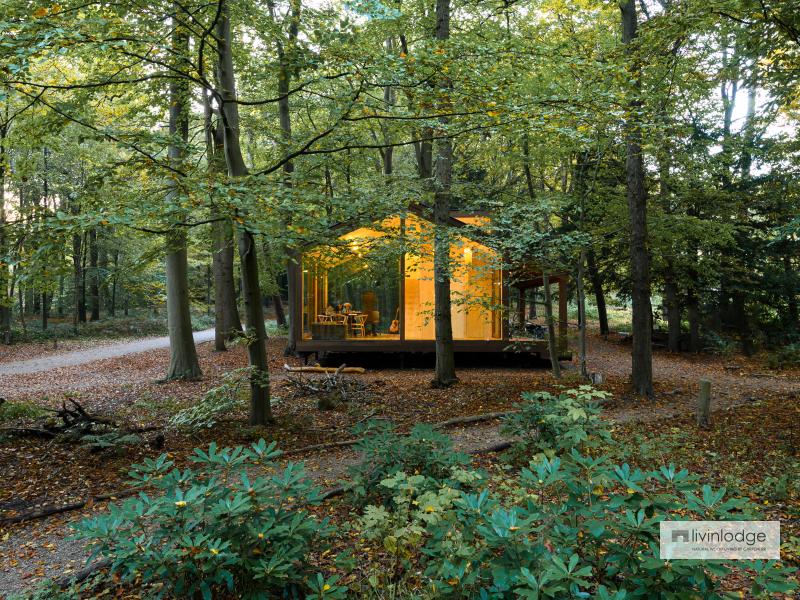 Une tiny house à ossature bois en pleine nature